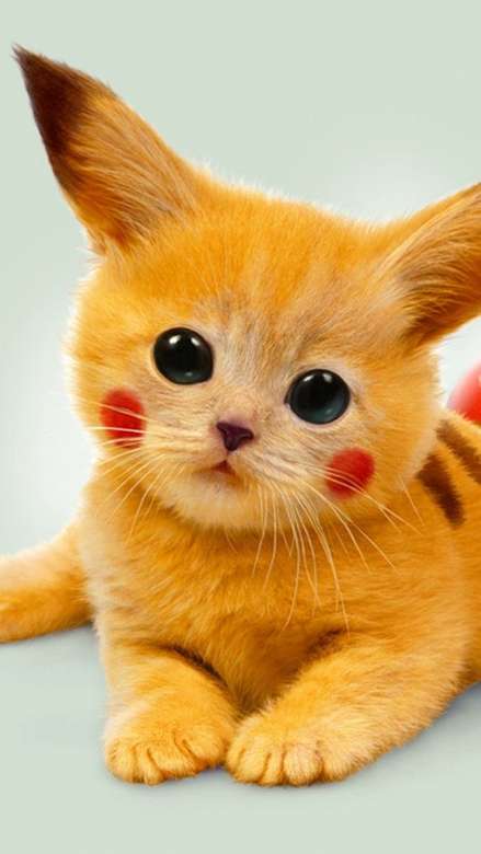 pikachu kitten jigsaw puzzle online