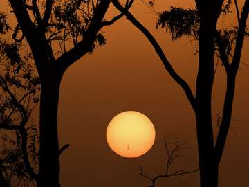 Sunspots online puzzle